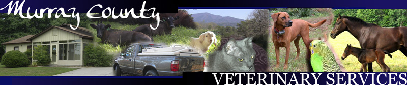 murray veterinary clinic